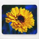 Golden Marigold flower and meaning Mouse Pads