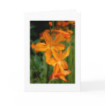 Golden Moment notecard