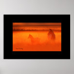 Golden Moment posters
