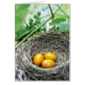 Golden Nest Eggs cards