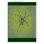 Golden Orb Spider Greeting Card