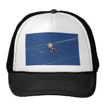 Golden Orb Spider Hat