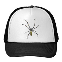 Golden Orb Spider Hats