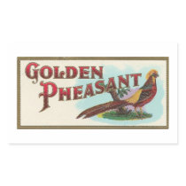 Golden Pheasant