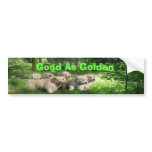 Golden Pups Bumper Sticker bumper stickers