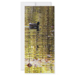 Golden Reflection rack cards