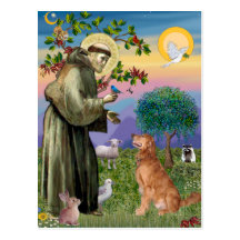 Golden retriever (#12) post cards