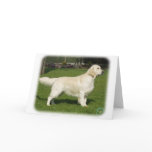 Golden Retriever 8P099D-05 cards