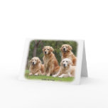Golden Retriever 9Y180D-149 cards