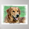 Golden Retriever Art Gifts posters