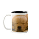 Golden Retriever Babies mugs