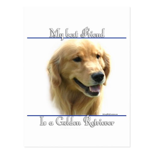 Golden Retriever Best Friend 2 Postcards