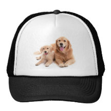 Golden Retriever Buddies Mesh Hat