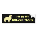 Golden Retriever Bumper Sticker bumper stickers