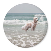 Golden Retriever By The Sea Magnet
