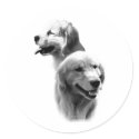 Golden Retriever Charcoal 2 - Sticker