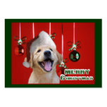 Golden Retriever Christmas Cards Gifts business cards