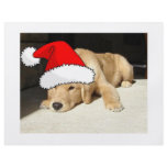 Golden Retriever Christmas flyers
