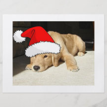 Golden Retriever Christmas Flyer Design