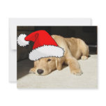 Golden Retriever Christmas invitations
