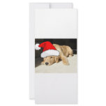 Golden Retriever Christmas rack cards