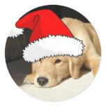 Golden Retriever Christmas stickers