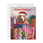 Golden Retriever Christmas Surprise invitations