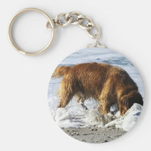 Golden Retriever EVERYBODY STOP! I Lost My Contact Keychains