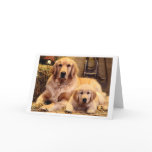 Golden Retriever Father's Day Card