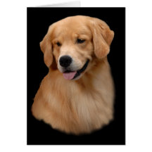 Golden Retriever Frisco Greeting Card