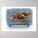 Golden Retriever Gifts posters