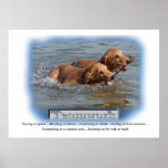 Golden Retriever Gifts posters