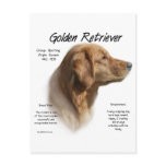 Golden Retriever History Design postcards