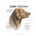 Golden Retriever History Design stickers