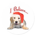 Golden Retriever I Believe - Sticker