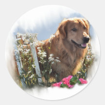 Golden Retriever Lovers Gifts Sticker