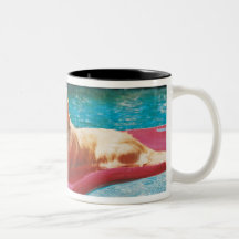Golden Retriever Lying on an Air Bed in a Coffee Mugs