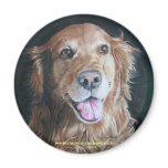Golden Retriever magnets