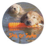 Golden Retriever Mum With Puppy Sticker