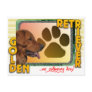 GOLDEN RETRIEVER! NO ORDINARY DOG! POSTCARDS