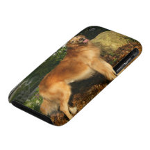 Golden Retriever Panting iPhone 3 Cases