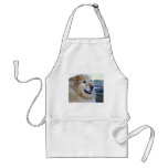 Golden Retriever Photo aprons