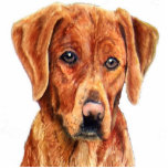 Golden Retriever Photo Sculpture photo sculptures