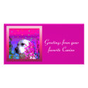 Golden Retriever photo cards