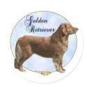Golden Retriever Portrait Sticker
