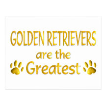 Golden Retriever Post Card