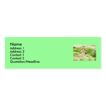 Golden Retriever Profile Card Business Cards