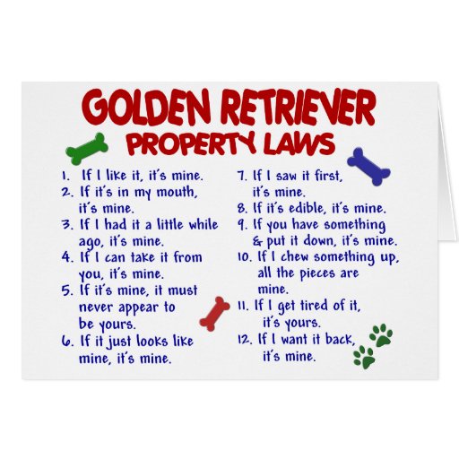 Golden Retriever Property Laws 2 Cards