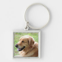 Golden Retriever Pup Keychain