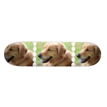 Golden Retriever Pup Skateboard
